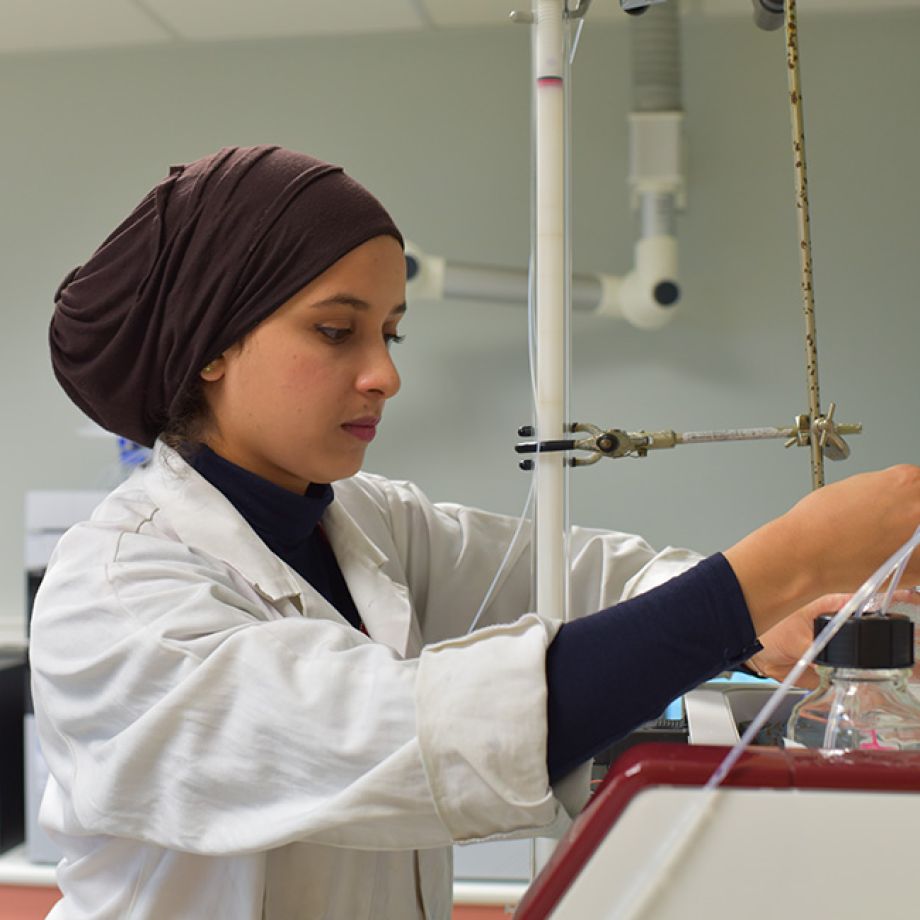 Science et génie des matériaux